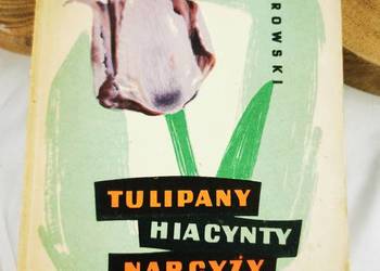 Tulipany hiacynty narcyzy