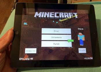 Apple iPad 2 a1395