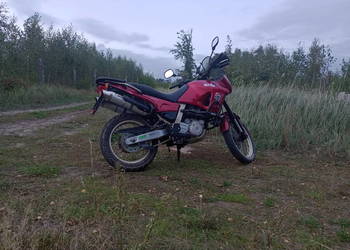 Motocykl Aprilia pegaso, 96r