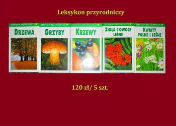 Leksykony przyrodnicze / przyroda / rośliny / zioła / kwiaty / drzewa