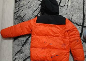 Kurtla zomowa 4 F Rpzm.152 cm.