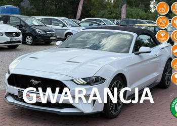 Ford Mustang Cabrio, Wypas, Automat VI (2014-)
