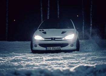 Peugeot 206 RC