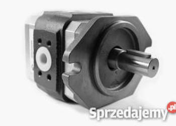 PLP 20.20