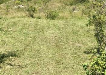 działka rolna Solec Zdrój