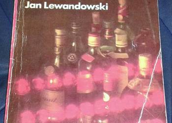 Czy pani wierzy w UFO - Jan Lewandowski