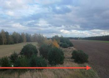 DZIAŁKA BUDOWLANO-INWESTYCYJNA Józefowo, gmina Słupca