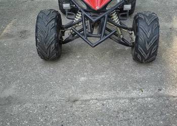Quad Zumico 110 3+1