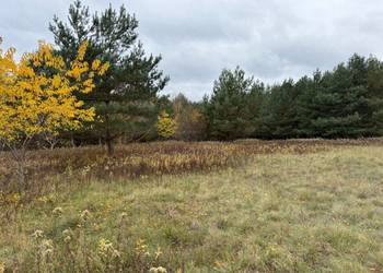 Duża atrakcyjna działka z warunkami zabudowy w atrakcyjnej cenie!