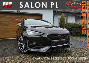 Cupra Leon serwis ASO, panorama dach