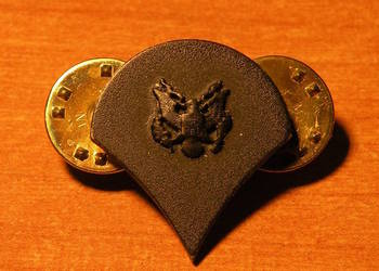 Pin Us Army Specialist