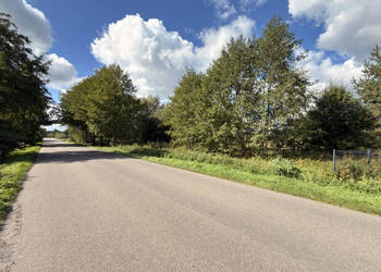 Dwie ostatnie działki - Tarnowa, 3 km od Poddębic