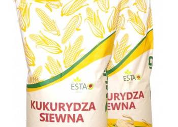Kukurydza siewna POPIS KADRYL LOKATA pracujemy cały WEEKEND MAJOWY!