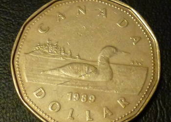 Moneta 1 dolar 1989 r. Elżbieta II - moneta z obiegu