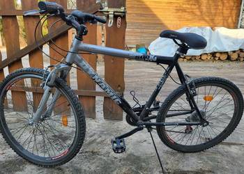 Rower górski Arkus 500 Dynamic