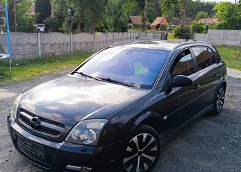 Opel Signum 3.0 V6 CDTI 177 KM | 2005 r. | Bogata Wersja