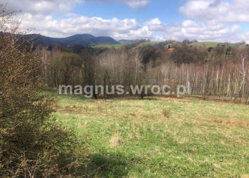 Na sprzedaż duża działka rolna bez mpz w u stóp Włodarza w Olszyńcu!