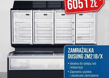 Zamrażarka Dusung ZM21B/X