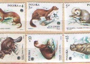 Zn. Fi 2798 - 803 ** 1984