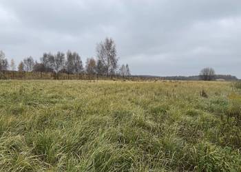 Działka 106 arów o wymiarach 144x73 m; pod zabudowę zagrodową; widokowa