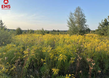 Działka Morze 4400m2