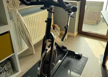Rower stacjonarny spinningowy Darwin indoor cycle Speedcycle Evo 30