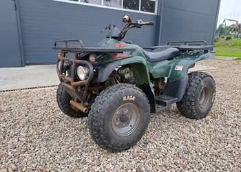 Quad MotorTek 175