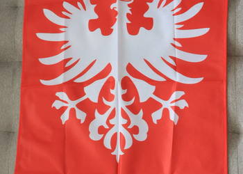 Flaga Powstania Wielkopolskiego