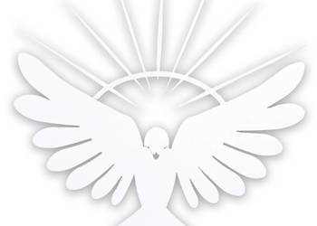 METROWA! Gołębica styropianowa. Dekoracje na Bierzmowanie.