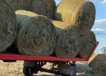 Sprzedam siano z 2025 roku