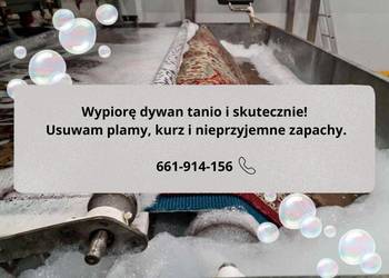 Pranie dywanów 14,99 zł/m2