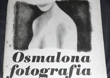 Osmalona fotografia. Idiotyczna sprawa - Dashiell Hammett