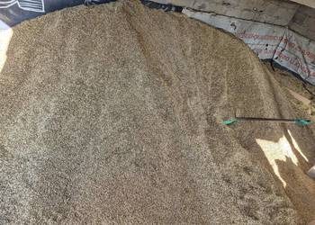 Sprzedam zboże mieszankę