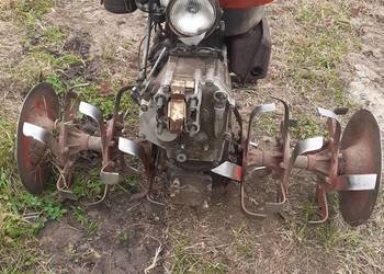 gryzałka Polska Mesko RJS !