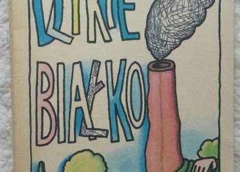 Dzikie białko Joanna Chmielewska