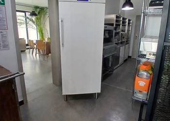 Szafa mroźnicza LIEBHERR ProfiLine GG 5210 I 472 l I Chłodzenie statyczne