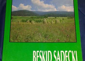 Beskid Sądecki. Pasmo Jaworzyny Krynickiej - A. Matuszczyk