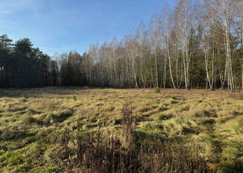 Działka 6300 m2 możliwość budowy dwóch domów, las