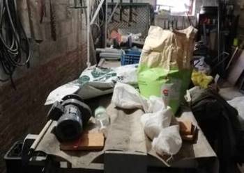 Tasmociag do różyczkowania brokula