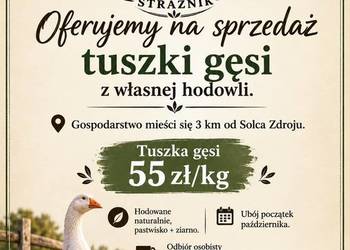 Tuszki gęsie