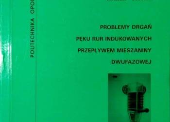PROBLEMY DRGAŃ PĘKU RUR INDUKOWANYCH PRZEPŁYWEM MIESZANINY
