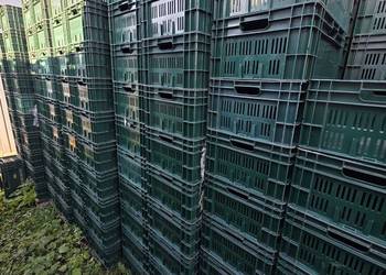 Skrzynki plastikowe bardzo mocne. Jak nowe producent: Schoeller.