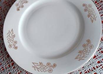 Talerz porcelanowy MZ Czechoslovakia Moritz Zdekauer