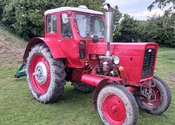 Traktor, ciągnik MTZ 50, zarejestrowany, pracujący. Wersja DDR.