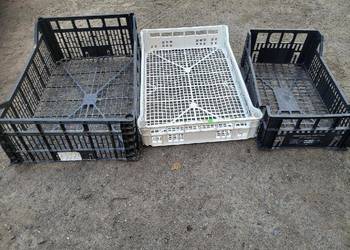 Skrzynki plastikowe, pudelka