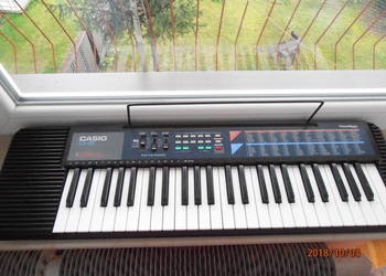 Organy CASIO CA-110