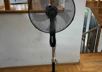 Wentylator podłogowy Haxon Dax