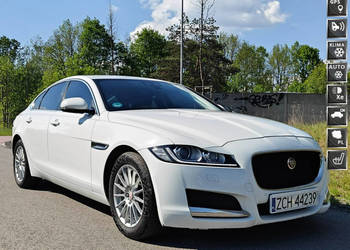 Jaguar XF X260 (2015-)