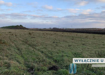 Działka 10021m2 Nowa Wola