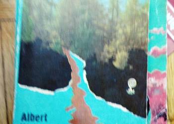 Droga bez powrotu Wojt pierwsze wydanie książki szkolne